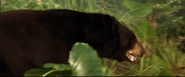 The Second Jungle Book: Mowgli and Baloo (1997)