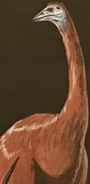 ZooBooks: Endangered Animals