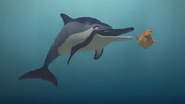 Splash and Bubbles (2016-2018)