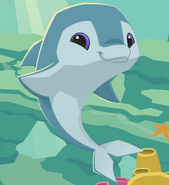 Animal Jam (2009)