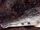 Slender-snouted Crocodile