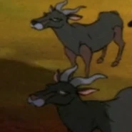 Topi | NatureRules1 Wiki | Fandom