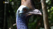 Sky Safari: Australia (2015)