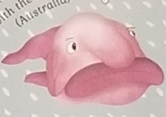 Blobfish, Animal Crossing Fan Wiki