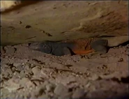 Cliff Hangers (1993)