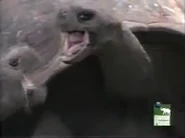 Natural Born Sinners [2002]