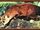Aquatic Genet