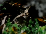 Winter Days (1984)