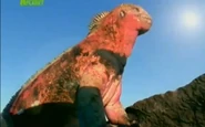 Animal Battlegrounds (2006)