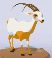 World of Zoo (2009) "Rahma"