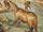Xiphis