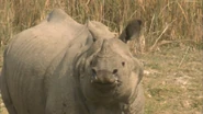 India: Nature's Wonderland (2015)