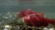 Nature's Great Events (2009)