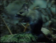 The Velvet Claw (1992)