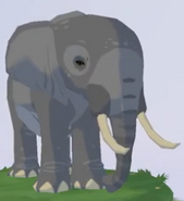 African Bush Elephant | NatureRules1 Wiki | Fandom