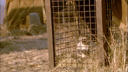 Elephant Tales (2008)