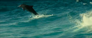 Oceans (2009)