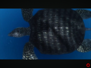 Prehistoric (2009)