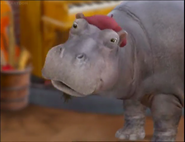 The Wonder Pets (2006-2013)