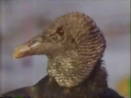 The Skyhunters (1986)