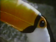 Winged World (1967)