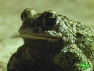 Sanctuaries of Defence (1993)