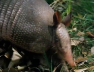 The Most Extreme (2002-2007)