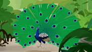 Wild Kratts (2011-)