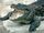 Mugger Crocodile