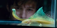 Jurassic World (2015)