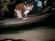 Wacky Wildlife (1940)