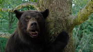 Cocaine Bear (2023)