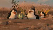 Madagascar: Escape 2 Africa (2008)