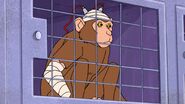 Mike Tyson Mysteries (2014-2020)