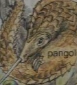 Children's Illustrated Atlas2 Pangolin.png (19 KB)