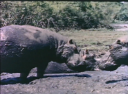 Wild Guess (1988)