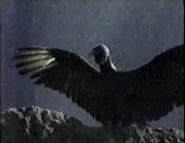 Wild Waterfalls (1989)