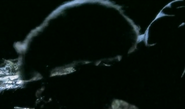 Crime Scene Creatures (2006)