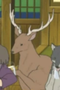 Shirokuma Cafe (2012-2013)