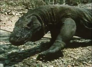 The Living Planet (1984)