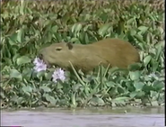 Hunters (1994)