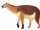 Macrauchenia
