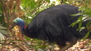 Wildest Places: Australia (2019)
