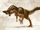 Odontotyrannos