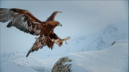 The Alps (2021)