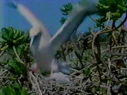 The Gooneys of Midway (1986)