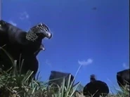 Land of the Eagle (1991)