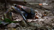 Australia's Hidden Islands (2017)
