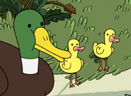 Clarence (2013-2018)