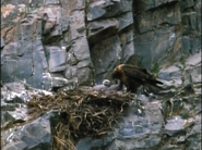 Himalaya (1996)